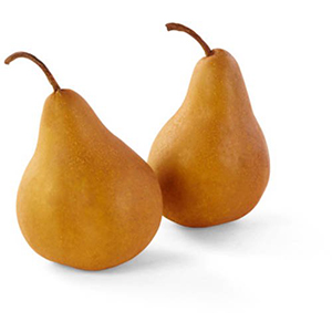 Bosc Pears (Fresh)